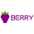 BERRY-DATA logo