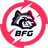 BFG-TOKEN logo