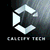 CALCIFY logo