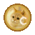CATCOIN-3 logo