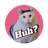 HUH-CAT logo