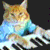 KEYBOARD-CAT-BASE logo