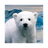 KNUT-FROM-ZOO logo