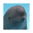 SMILING-DOLPHIN logo