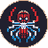 SPIDERSWAP logo