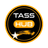 TASSHUB logo