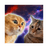 TWOTALKINGCATS logo