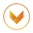 VITALXP logo