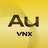 VNX-GOLD logo